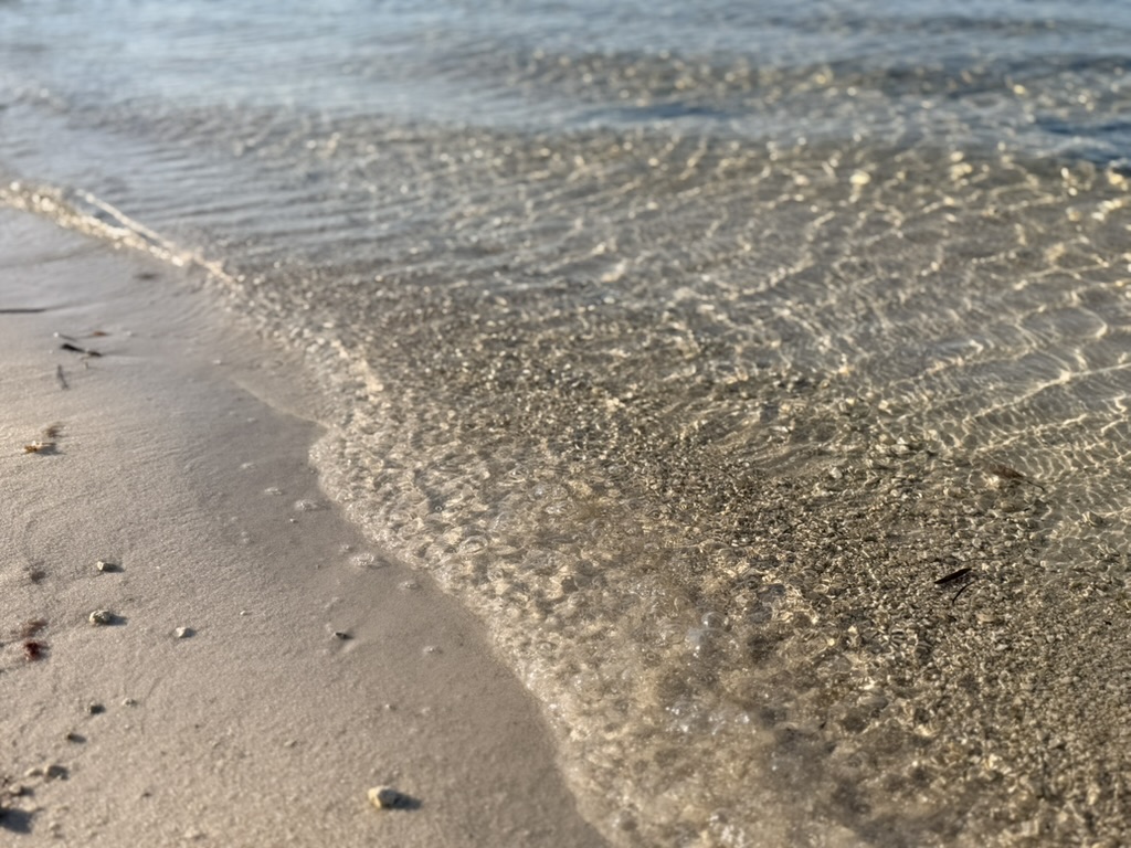 cd28aee5 83ae 493d b4a2 2b8e21f25d70 1 105 c