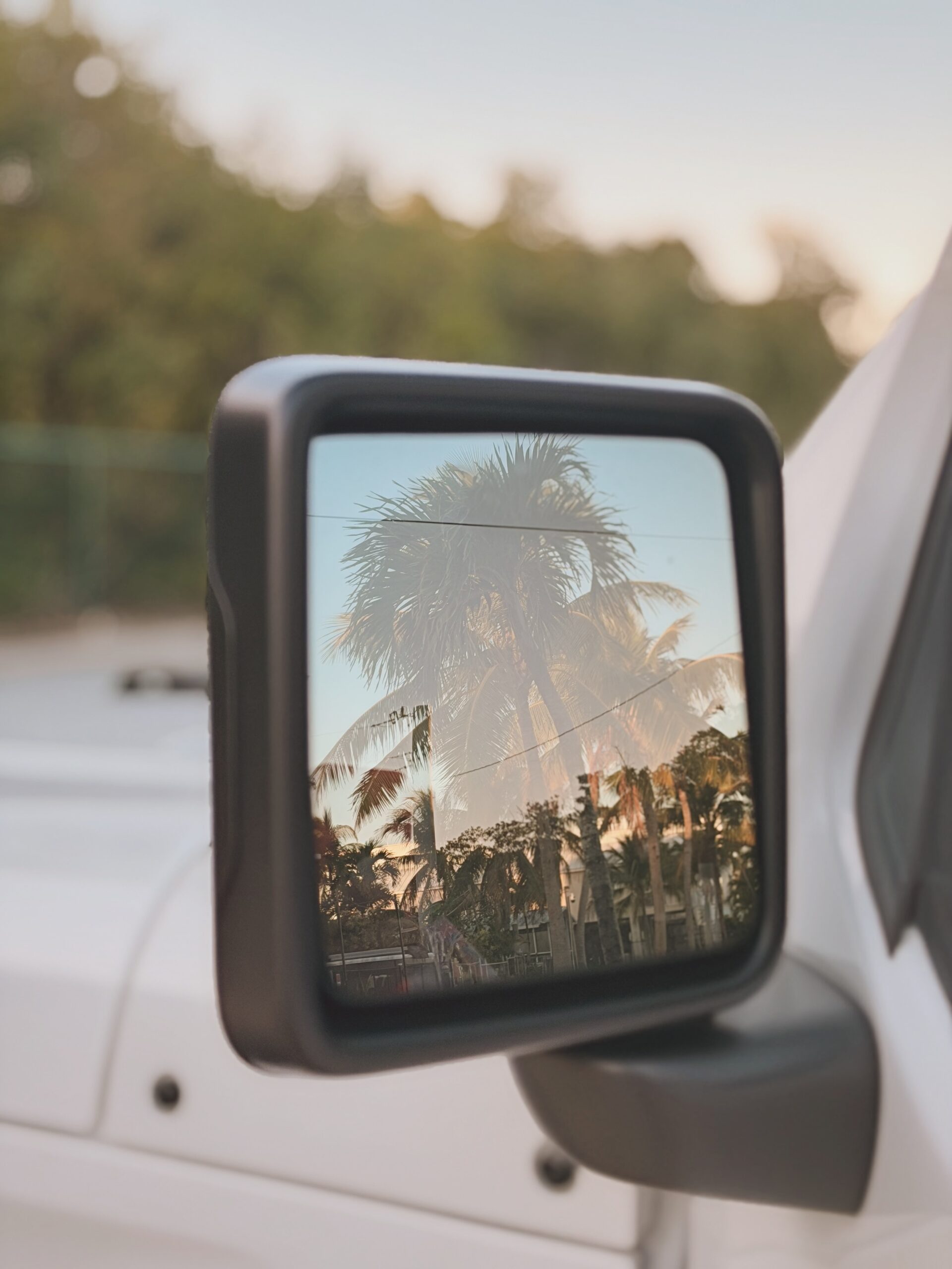 Facetune 27 01 2026 16 33 36 Scaled